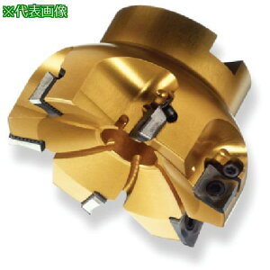 ��SANDVIK �R���~��CoroMill[[R��]]Century �t�F�[�X�~�����O�J�b�^�[(450)�k�i��:R590080Q27S11M�l�y5760071:0�z[�����ʓr���ς�][�f�O���][�X�����s��]