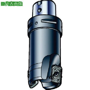 ��SANDVIK �R���~��790�J�b�^�[(440)�k�i��:R790036C3S116H�l�y5760267:0�z[�����ʓr���ς�][�f�O���][�X�����s��]