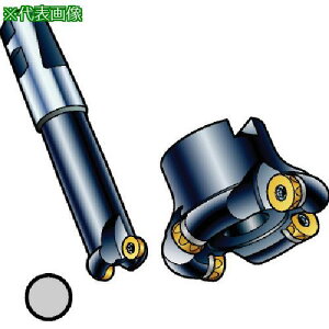 SANDVIK R~200Jb^[(450)ki:RA200088J31.7512Mly5775663:0z[Xs]