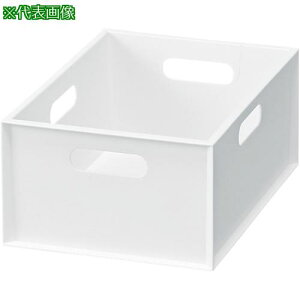 JEJAXe[W JL[u c^n[t zCgs12tki:190169ly5780854×12:0z[ʓrς][@lEƏ][O][Xs]