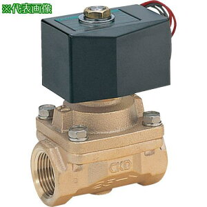 ��CKD �d���� �p�C���b�g�L�b�N��2�|�[�g(�}���`���b�N�X�o���u)�k�i��:APK1110A02CAC200V�l�y5810566:0�z[�X�����s��]