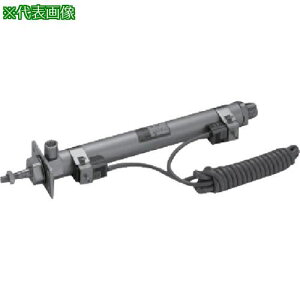 ��CKD �}�C�N���V�����_�x������A���k�i��:CMA2CB30100�l�y5811732:0�z[�����ʓr���ς�][�f�O���][�X�����s��]