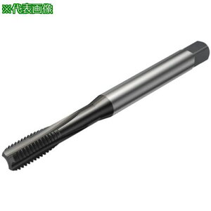 ��SANDVIK �R���^�b�v100 �X�g���[�g�^�b�v(780) N1PR�k�i��:T100NM102DAM5�l�y5812514:0�z[�����ʓr���ς�][�f�O���][�X�����s��]