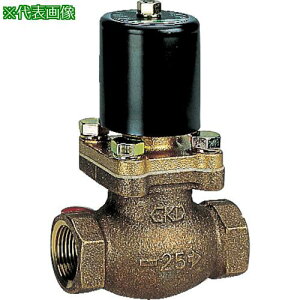 ��CKD �p�C���b�g��2�|�[�g�d���فk�i��:PVS20A210NOAC100V�l�y5822319:0�z[�����ʓr���ς�][�f�O���][�X�����s��]