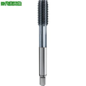 ��GUHRING �t���[�g���X�^�b�v ���\���p Pionex ���a�t�� M12 x 1�k�i��:458512.056�l�y5824743:0�z[�����ʓr���ς�][�f�O���][�X�����s��]