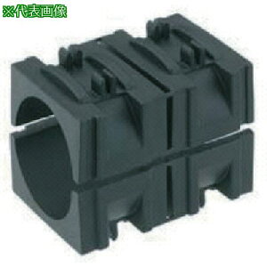 SUGATSUNE (210031281)963000BCPpCvWCgVXe CT[gki:963000BCPly5840619:0z[ʓrς][fO][Xs]