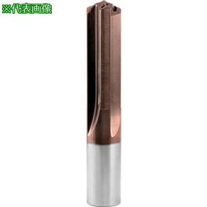 GUHRING d4nh ICz[t VB 100 P 5xD 12mmki:604512.000ly5842900:0z[ʓrς][fO][Xs]