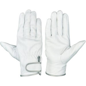 V Mv(}WbN^Cv) GT-717  Ss10otki:GT717Sly5855621×10:0z[ʓrς][fO][Xs]