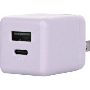 Owltech PD20W ȂjAXJ[AC[d y[ACXki:OWLAPD20A1C1RPUly5860051:0z[ʓrς][fO][Xs]