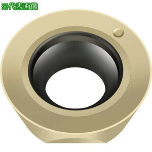 ��Walter �~�[�����O���H�p �ۋ�|�W�`�b�v WSM35G�s10���t�k�i��:ROMX10T3M08D57�l�y6073510×10:0�z[�����ʓr���ς�][�f�O���][�X�����s��]