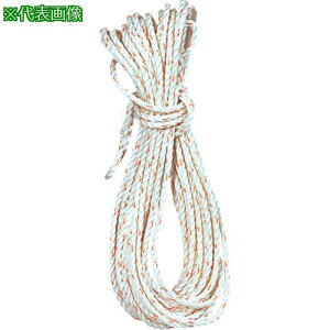 c PPgbN[v 10×30mki:3560ly6164732:0z[ʓrς][fO][Xs]