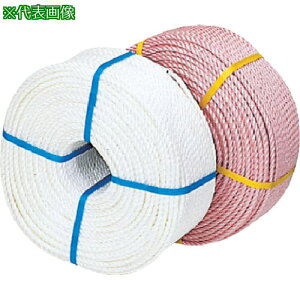 c PP-v 8mm×200mki:1516ly6164750:0z[ʓrς][fO][Xs]