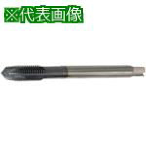 ���c��䐻�쏊 �[���`�b�v�K���^�b�v M4×0.7×70 GT5 46856�k�i��:ZCGN5PM4X0.7X70GT5�l�y6179167:0�z[�X�����s��]