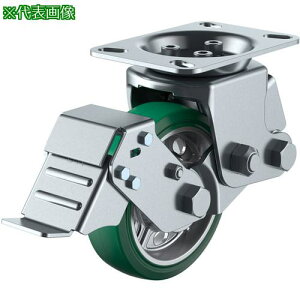 �����[�G�C �v���[�g�� �Œ� �L���X�^�[ �ϖ��՗΃S�� �ԗ֌a150mm �X�g�b�p�[�t�� SKY�^�C�v SKY-2R-S�^ ��t���@112×50(100×56)�k�i��:SKY2R150AWSARGRB2�l�y6180097:0�z[�����ʓr���ς�][�f�O���][�X����