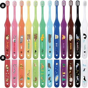 {NebN uV nbs[J[ p ZOO 12{s72tki:M2972ly6185167×72:0z[ʓrς][@lEƏ][O][Xs]