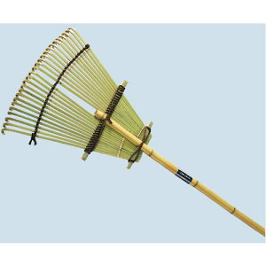 c |܂ł݂ki:55015ly6195799:0z[ʓrς][fO][Xs]