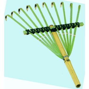 c |׎肭܂Łki:55052ly6200536:0z[ʓrς][fO][Xs]