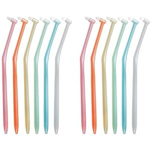 {NebN uV ^tguV ӂ 12{ Lbvt 1s50tki:M0824ly6208590×50:0z[ʓrς][@lEƏ][O][Xs]