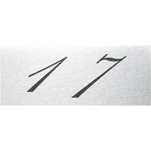 ���� �e�[�u���i���o�[ 17 �A���~���k�i��:CX17�l�y6212793:0�z[�����ʓr���ς�][�f�O���][�X�����s��]
