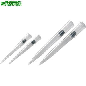 AS YtB^[`bv5479Eki:2170503ly6228766:0z[ʓrς][fO][Xs]