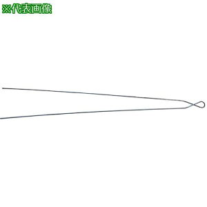 񓡃[ m[c΂񂹂#10(3.1mm)×800mm 200{ki:304000120000000ly6281545:0z[Xs]