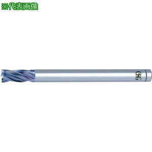 ��OSG V�R�[�gXPM���t�B���O�[����p �V���[�g �t�@�C���s�b�` 5�n �n�a25mm �n��45mm �S��225mm 8456725�k�i��:VPDERESF25�l�y6342744:0�z[�X�����s��]