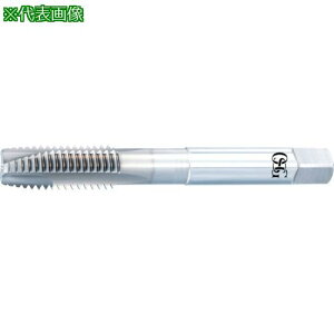 ��OSG �|�C���g�^�b�v HR�R�[�e�B���O Ni��ϔM�����p(���j�t�@�C�˂��p) 7/16 �R��20 �˂�����25mm 3901285�k�i��:WHRNIPOTGH571620UNJF�l�y6356001:0�z[�X�����s��]