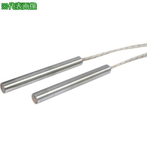 ������ �E���g���t�@�C�u SL�^ �P��200V�p ��8.0L55 100W�k�i��:SLC2101�l�y6418994:0�z[�����ʓr���ς�][�@�l�E���Ə�����][�O����][�X�����s��]