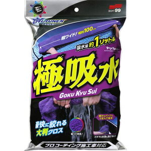 SOFT99 ALAUNEN JCU[ zpNXki:02903ly6524108:0z[Xs]