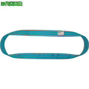 ��TESAC �u���[�X�����O(JIS4�����E�G���h���X�`)�׏d25.0t�S��4.75m�k�i��:4N300X4.75�l�y6535110:0�z[�����ʓr���ς�][�@�l�E���Ə�����][����][�X�����s��]