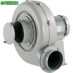 a d@ RpNgV[YϔMdl(0.2kW)] 㕔foki:EC75SHTL2A3ly6538265:0z[ʓrς][@lEƏ][O][Xs]