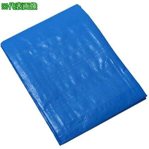 yMG[X ^tu[V[g #3000 5.4×7.2s5tki:BS30005472ly6551282×5:0z[ʓrς][@lEƏ][O][Xs]