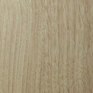 3M _CmbN tB WGV[Y WG-2460, Ebh, 1220 MM X 50 Mki:WG2460ly6563302:0z[ʓrς][fO][Xs]