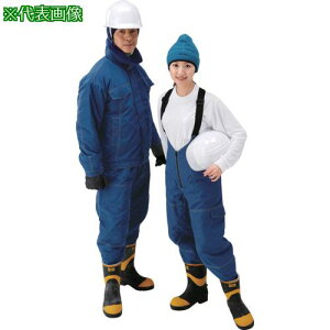 GOLDWIN h Tybgpc l[r[ Ski:PFF55FANSly6569929:0z[ʓrς][fO][Xs]