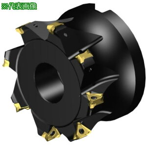 ��SANDVIK �R���~��MS60�����J�b�^�[(455)�k�i��:MS60AR102R3816M�l�y6572313:0�z[�����ʓr���ς�][�f�O���][�X�����s��]