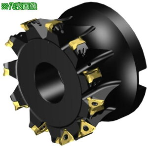 ��SANDVIK �R���~��MS60�����J�b�^�[(455)�k�i��:MS60AR102R3816H�l�y6575518:0�z[�����ʓr���ς�][�f�O���][�X�����s��]
