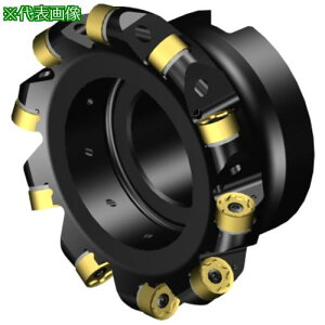 ��SANDVIK ���ʃt���C�X�J�b�^�[ CoroMillMR80(440)�k�i��:MR80AR102R3812M�l�y6575567:0�z[�����ʓr���ς�][�f�O���][�X�����s��]