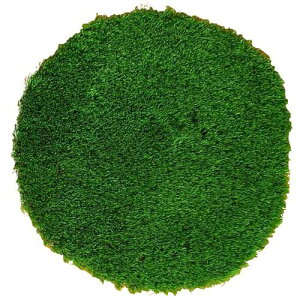 ���O���[���N���X �C�t�~�b�N �X�g���X�����[�o�[ �ґz�}�b�g ���~���a60cm �l�H�Łk�i��:6300054103�l�y6586387:0�z[�����ʓr���ς�][�@�l�E���Ə�����][�O����][�X�����s��]