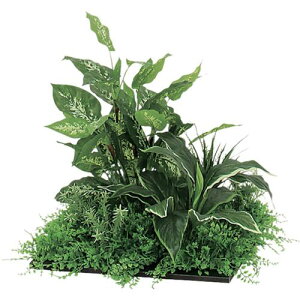 NAIKI XNGAO[(450p) LOT^ gX LOTOSki:NGR50540404ly6597403:0z[ʓrς][@lEƏ][fO][Xs]