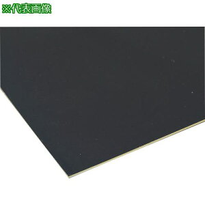 ��EXSEAL �Q���x�[�X�V�[�g �t���b�gFS9 500×400mm ���ߐF�k�i��:GS0017001�l�y6625403:0�z[�����ʓr���ς�][�f�O���][�X�����s��]