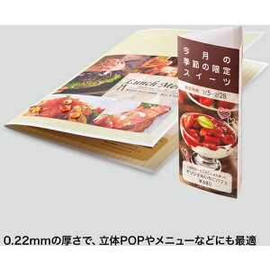 SANWA J[[U[p ϐEki:LBPWPF22MDPNly6627533:0z[ʓrς][fO][Xs]