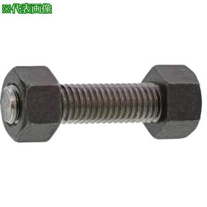 ��SUNCO B7�X�^�b�hBT (NTX2 UNC5/8X125 (1�{��)�k�i��:C12407138050125000�l�y6633599:0�z[�����ʓr���ς�][�f�O���][�X�����s��]