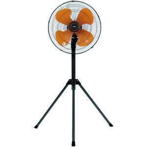 Ώ\ ecoH Or^܂肽ݎ 80×70×110~135cmki:375980ly6642830:0z[ʓrς][fO][Xs]