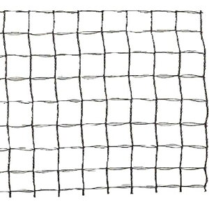 O[NX hlbg ChbZh ڍ12mm 2mx100m ubNki:6300053779ly6644746:0z[ʓrς][@lEƏ][O][Xs]