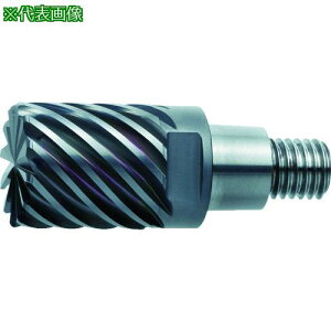 ���O�H 6���n���މ��H�p ���d���n���U���W�A�X�w�b�h10mm (�R�[�g�i) EP7020�k�i��:IMX10C6HV100R10010�l�y6646069:0�z[�X�����s��]