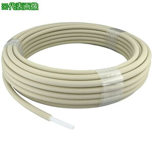 I_쏊 ˋ|G` 핢J|pCvW ό󐫎dl 5mm핢 13A 50mki:PEX13CPU550ly6775001:0z[ʓrς][fO][Xs]