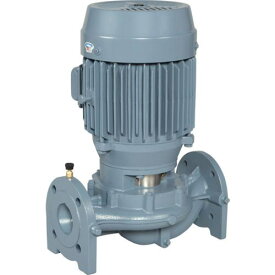■エバラ LPD型ラインポンプ 口径25mm 0.15kW 60HZ〔品番:25LPD6.15SA〕【6801919:0】[送料別途見積り][法人・事業所限定][直送][店頭受取不可]
