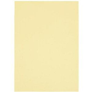 SV 144679)J[y[p[A3 N[ 500 A266J-2ki:A266J2ly6818311:0z[ʓrς][fO][Xs]