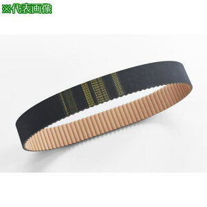 ���֖{�`�G�C�� �^�C�~���O�x���g PX�x���g�k�i��:BG640P8M40RC�l�y6818398:0�z[�����ʓr���ς�][�@�l�E���Ə�����][�O����][�X�����s��]