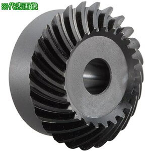 ��KANA �X�p�C�����}�C�^�M�� SCM KSM5-25R(THC)�k�i��:SCMKSM525R�l�y6822175:0�z[�����ʓr���ς�][�f�O���][�X�����s��]
